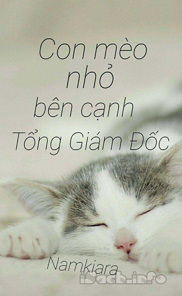 Con Mèo Nhỏ Bên Cạnh Tổng Giám Đốc